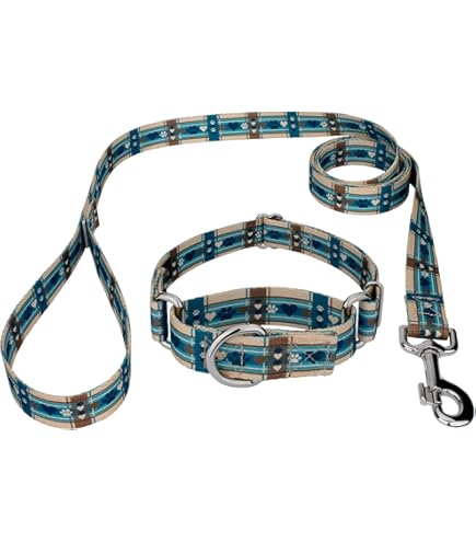 Amazon.com: Country Brook Petz - 向日葵鞅狗項圈和牽繩- 花卉系列